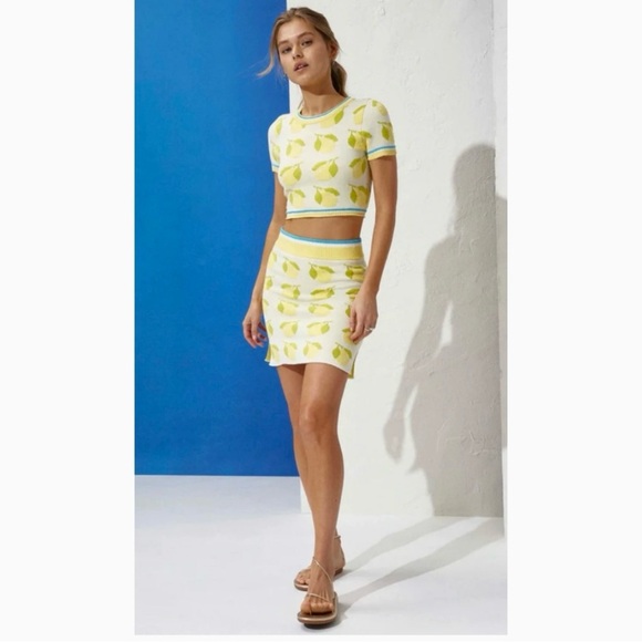 Solid & Striped The Rosie Skirt. - Picture 3 of 5